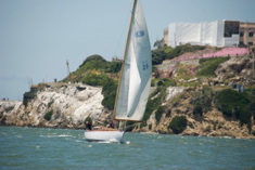 DSC_2542 (1)