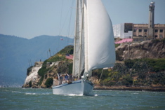 DSC_2555 (1)