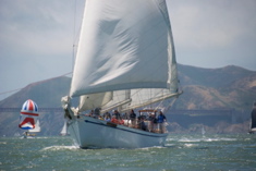 DSC_2559 (1)