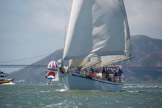 DSC_2560 (1)