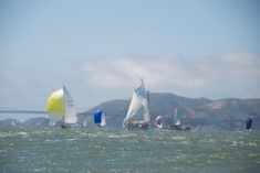 DSC_2572 (1)