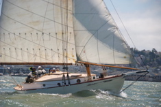 DSC_2575 (1)
