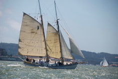 DSC_2589 (1)