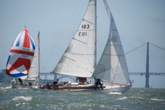 DSC_2626 (1)