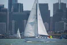 DSC_2661 (1)