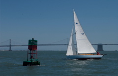 DSC_2486 (1)