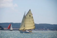 DSC_2781