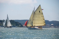 DSC_2782