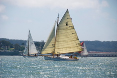DSC_2784
