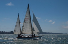 DSC_2491 (1)
