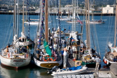 DSC_3084