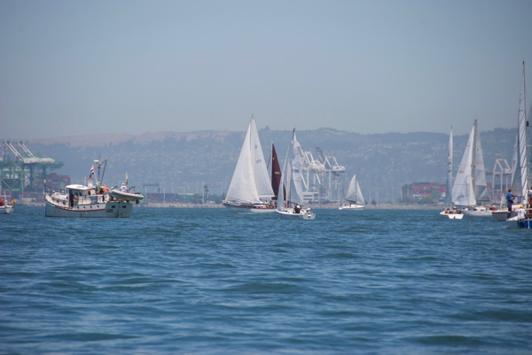 DSC_3974