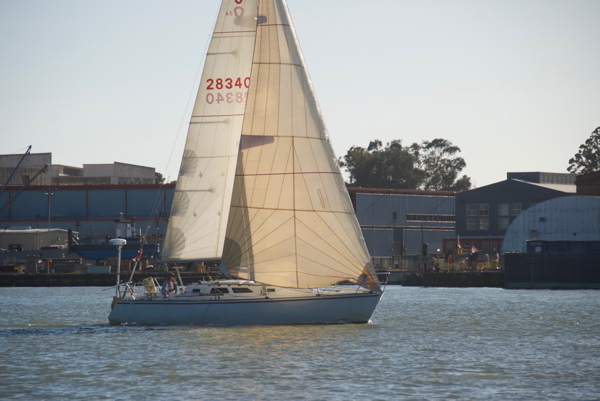 DSC_5387