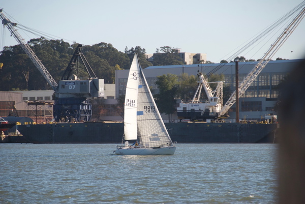 DSC_5442