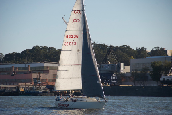 DSC_5477