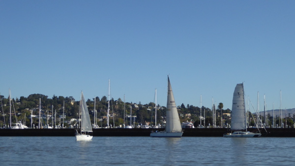 P1020456
