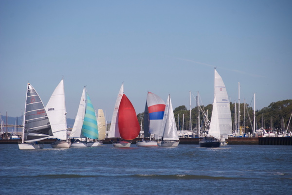 DSC_5530