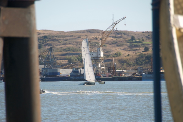 DSC_5318