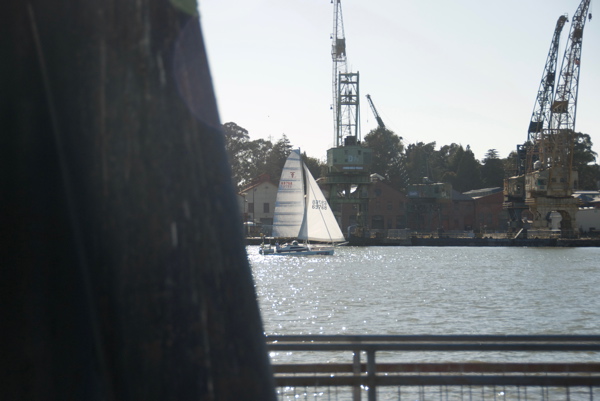 DSC_5330