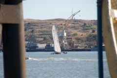 DSC_5318