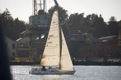 DSC_5350