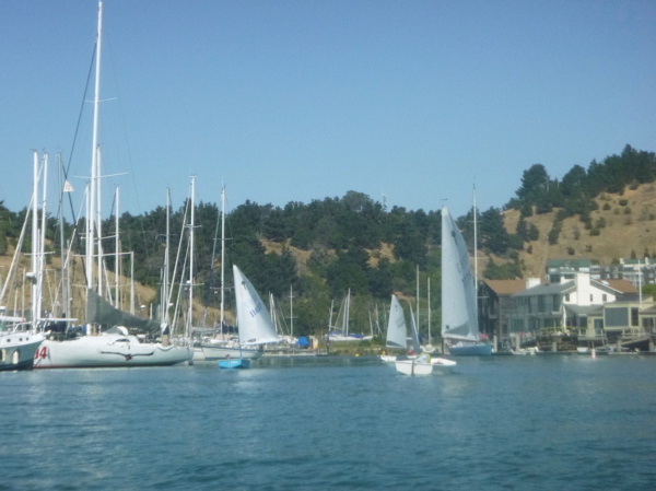 P1000608