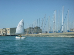 P1000601