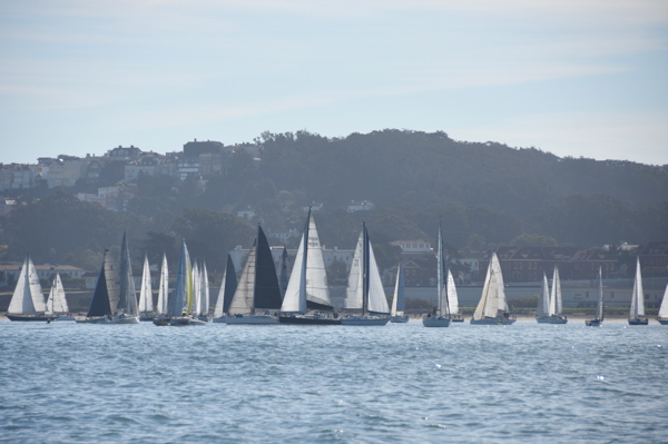 DSC_0209