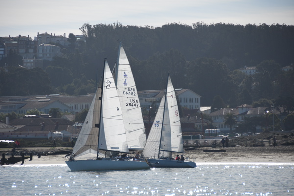 DSC_0343