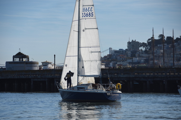 DSC_0462