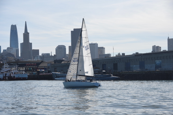 DSC_0495