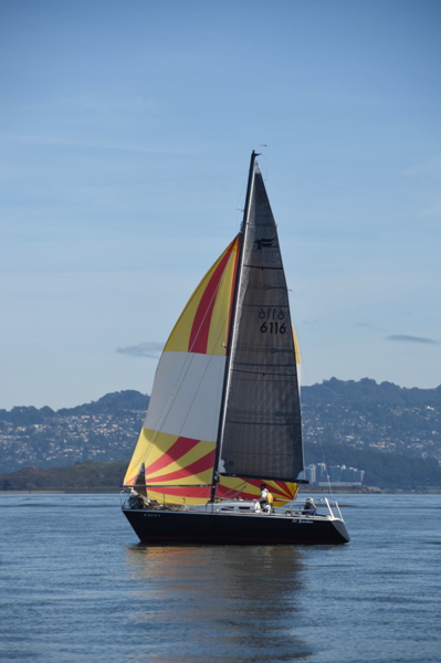 DSC_0528