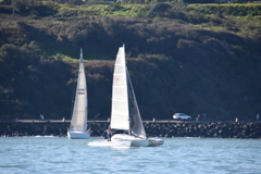DSC_0229