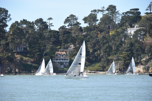 DSC_0084
