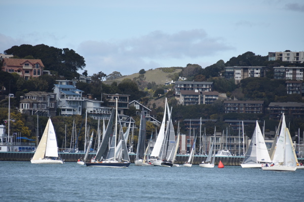 DSC_0089