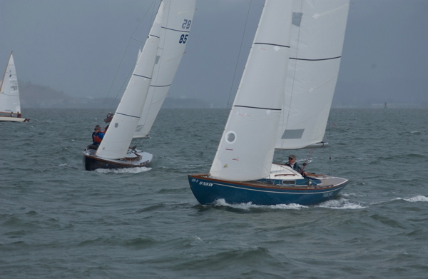 DSC_1597