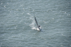 CAW_0224