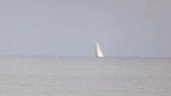P1030981