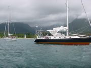P1000966