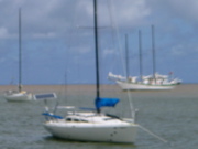 P1010028