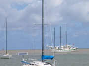 P1010029