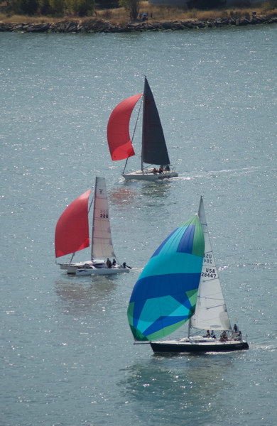 DSC_2532
