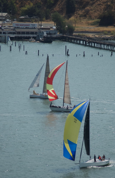 DSC_2555