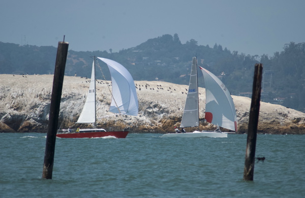DSC_2381