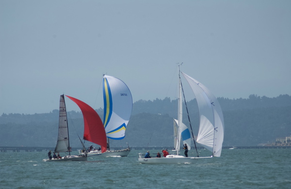 DSC_2406