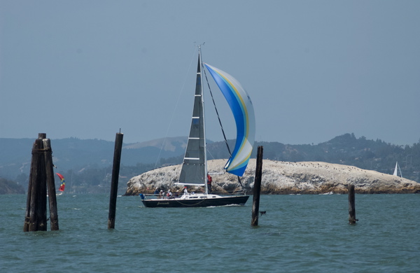 DSC_2409