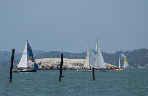 DSC_2425