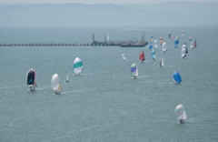 DSC_2477 (1)