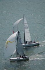 DSC_2511