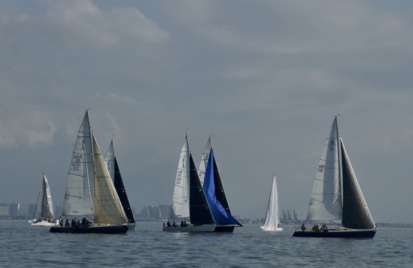 DSC_3294